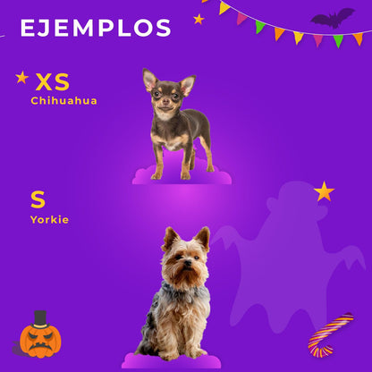 Disfraz Chuky Para Mascotas Traje