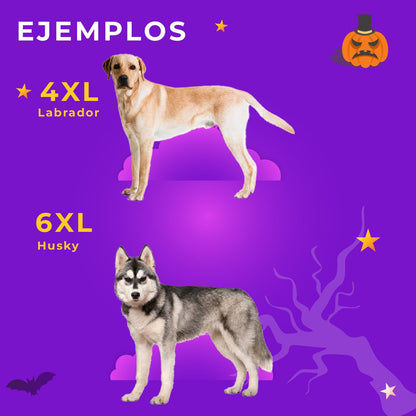 Disfraz Chuky Para Mascotas Traje